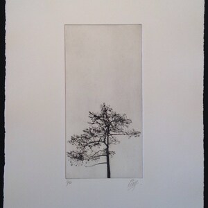 Tree Silhouette, A drypoint etching of a tree image 2