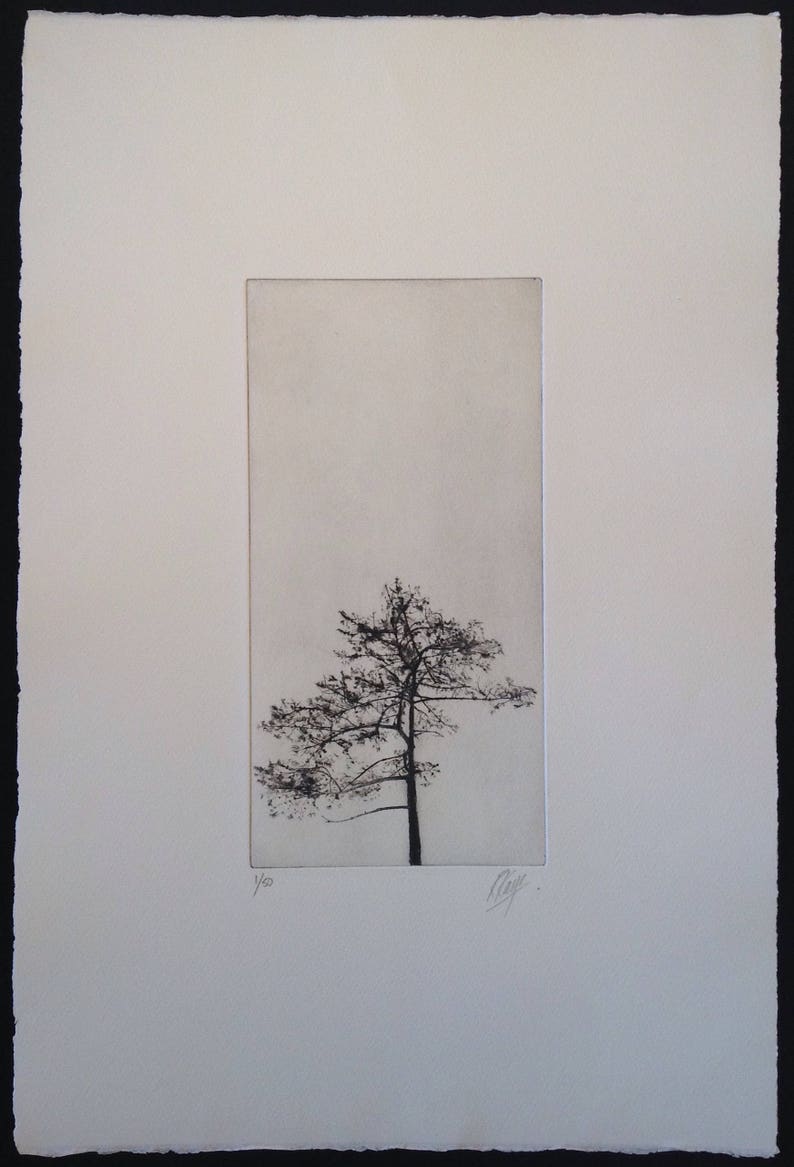 Tree Silhouette, A drypoint etching of a tree image 2