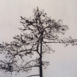 Tree Silhouette, A drypoint etching of a tree image 4