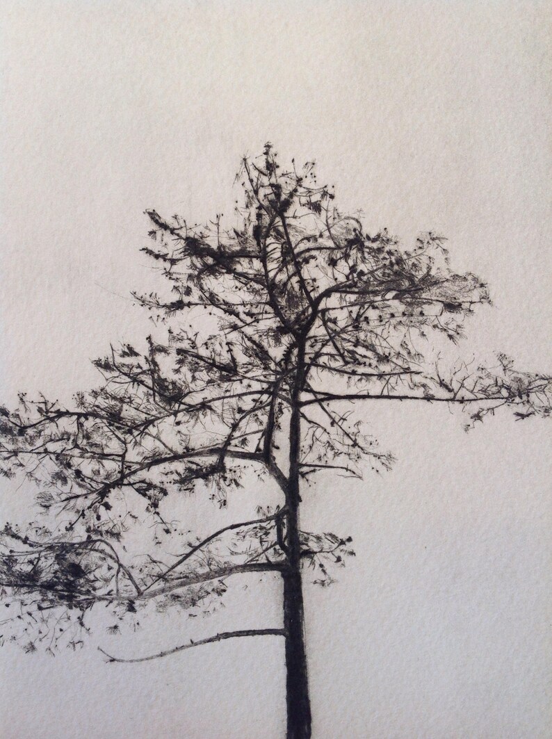 Tree Silhouette, A drypoint etching of a tree image 4