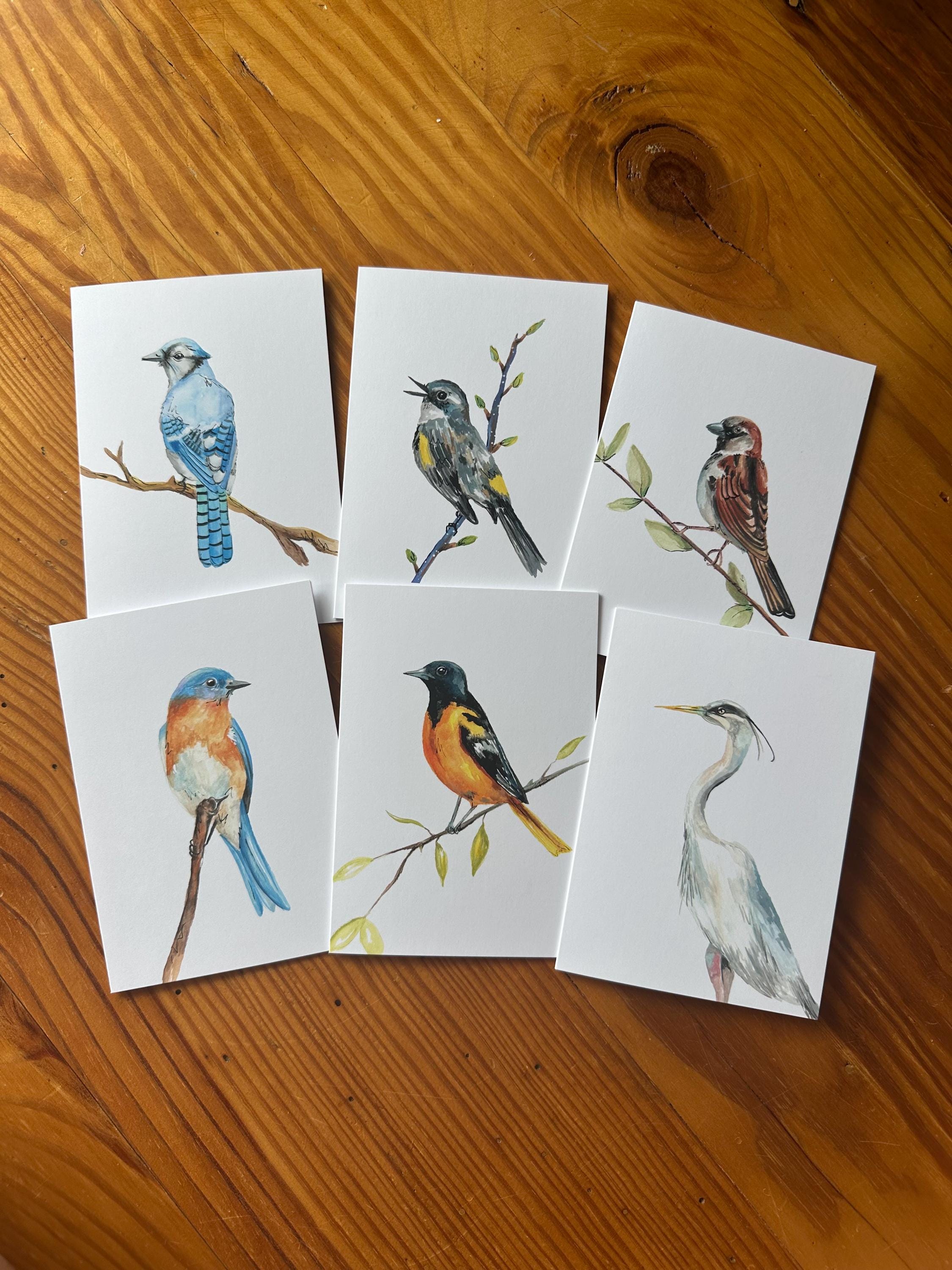 Six mystery blank watercolor bird greeting cards: thank you notes, cards for all occasions, set of cards