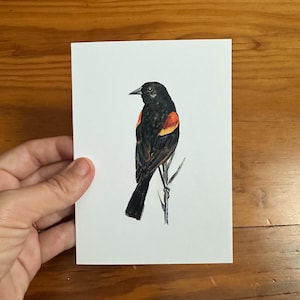 Red Winged Blackbird: blank watercolor bird greeting card, all occasion stationary, birthday card, birder artwork