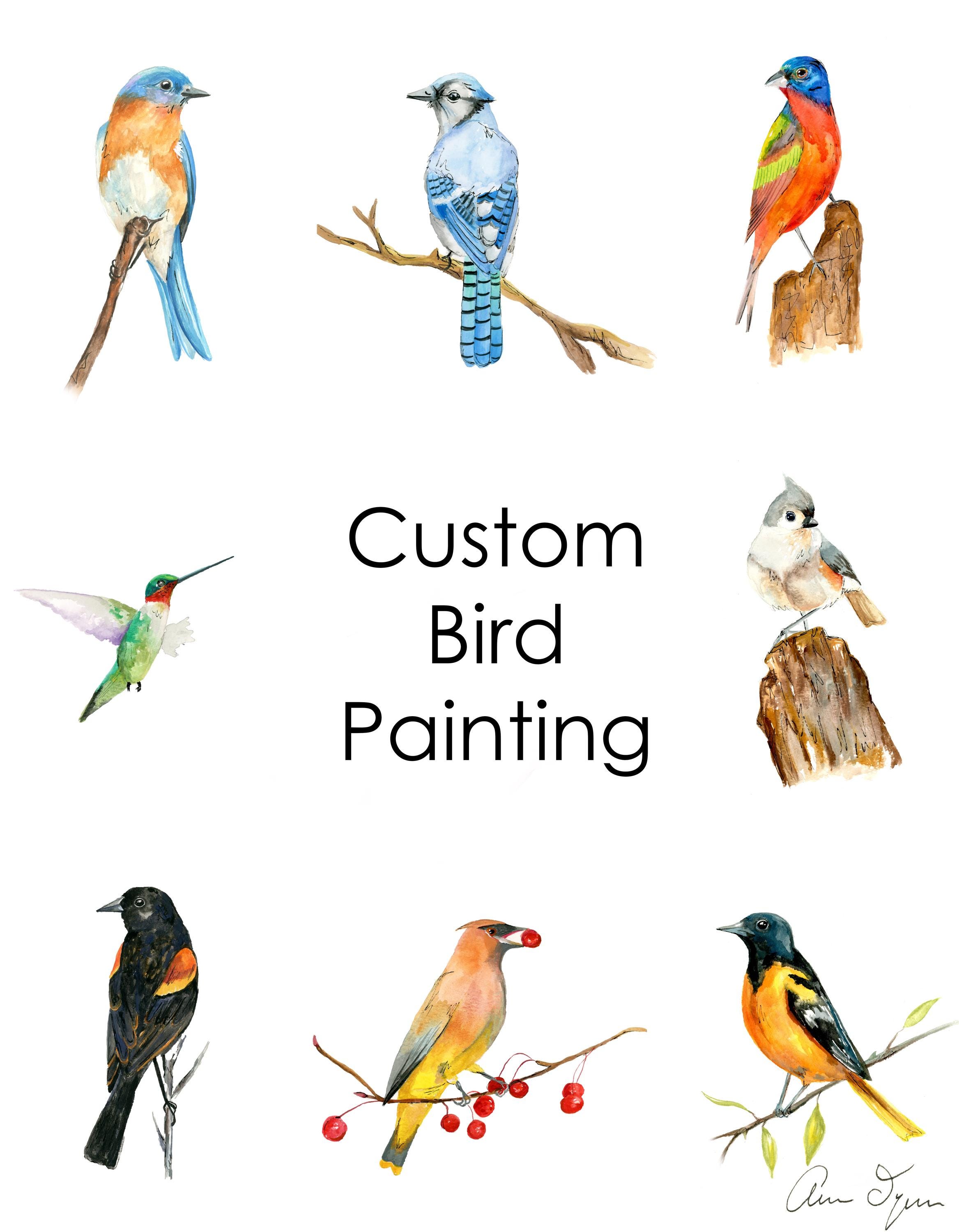 Bird Watercolor Painting