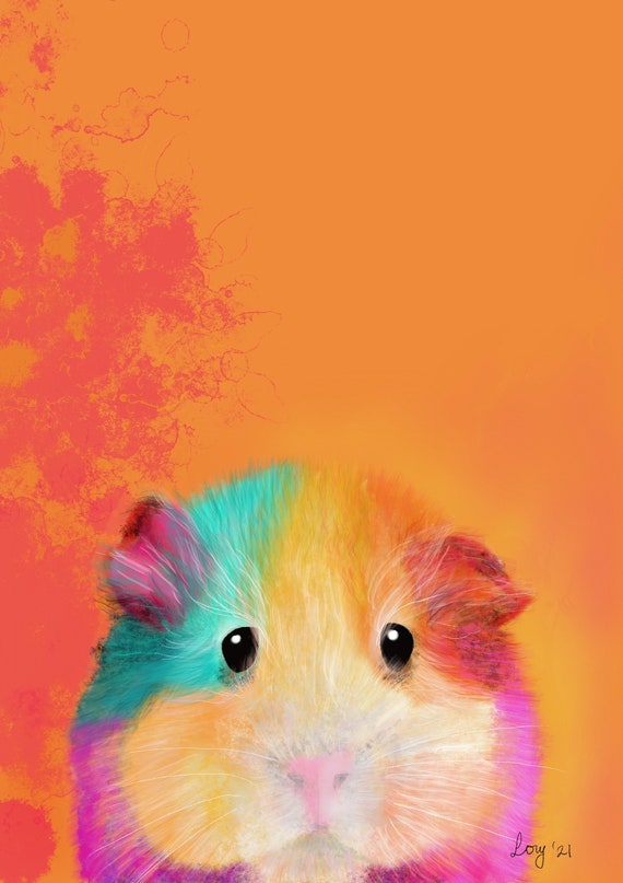 Rainbow hamster store