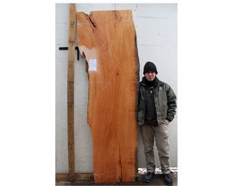 Live Edge Wide Bar Counter Top Natural Cherry Raw Wood Slab Tabletop Furniture   Rustic Custom DIY Countertop Bartop 5442x1