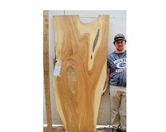 tulip rainbow poplar natural