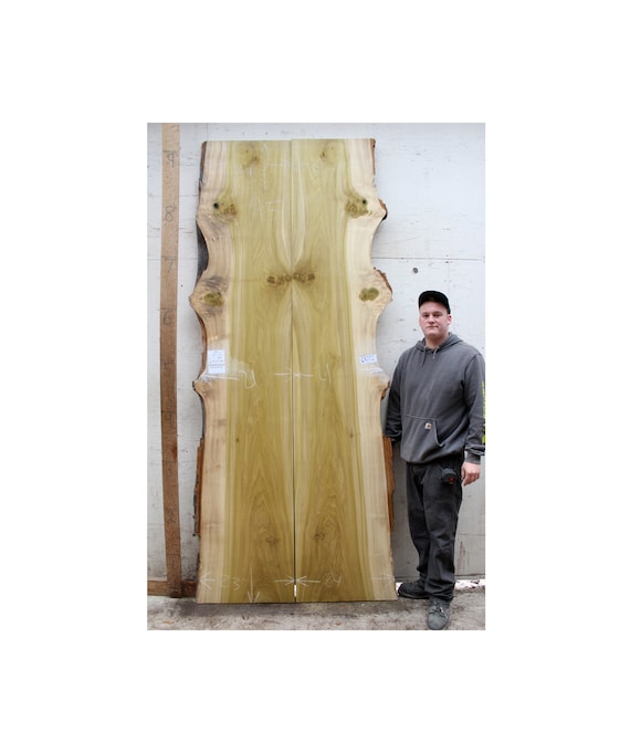 Tulip wood table deals