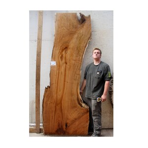 Butternut Natural Bar Top Live Edge Raw Wood Slab Tabletop  Rustic Counter  Custom Kitchen Countertop 6744x1