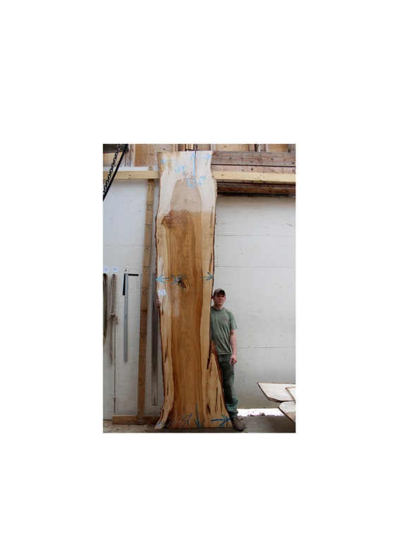 Live Edge Countertop Bartop Natural Maple Raw Wood Slab Etsy