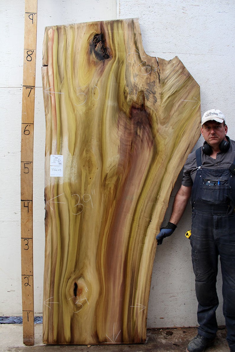 Tulip Rainbow Poplar Natural Live Edge Dining Table Top Raw Etsy