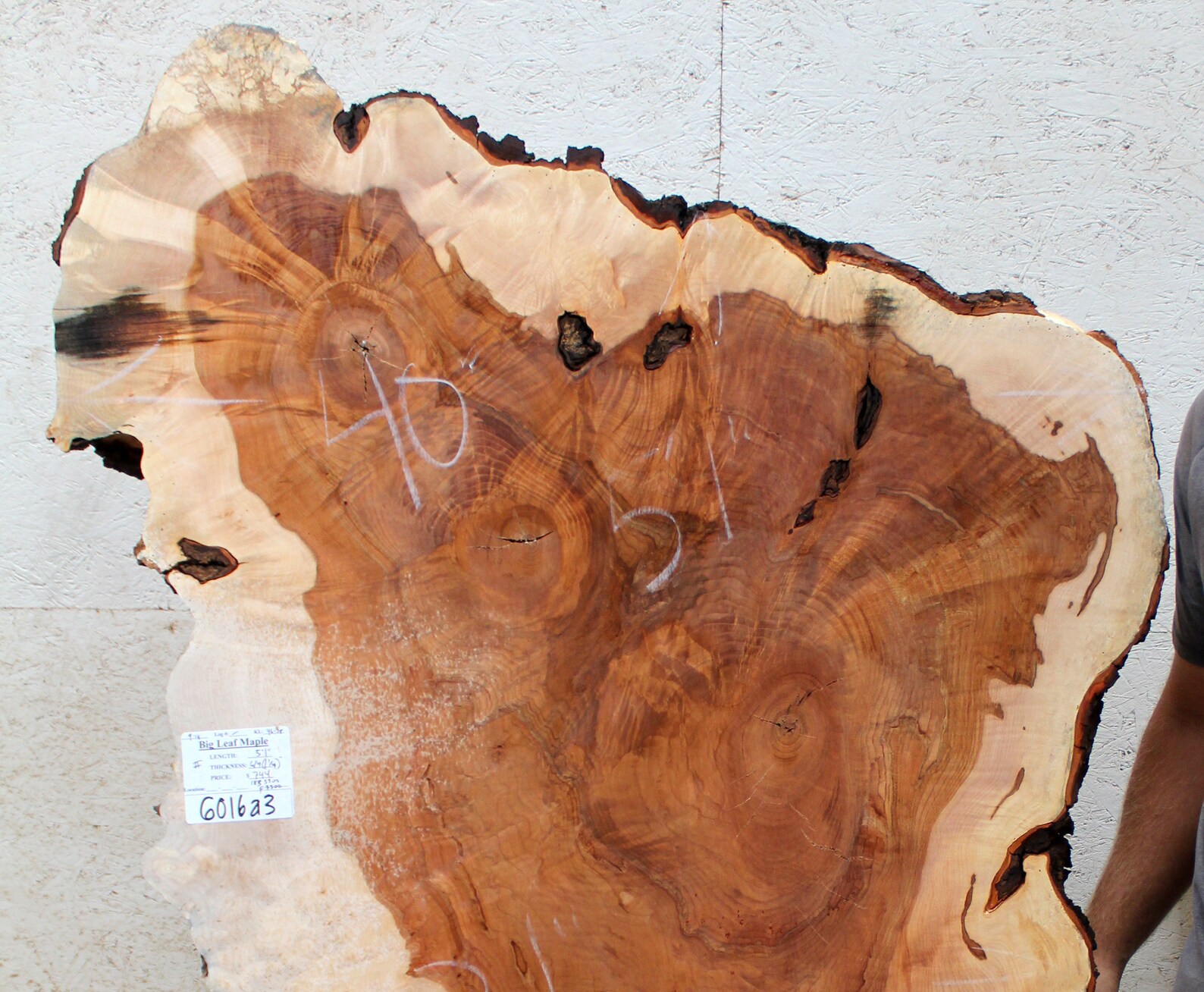 Rustic Wall Art Live Edge Sculpture Wood Slab Coffee Table DIY Etsy