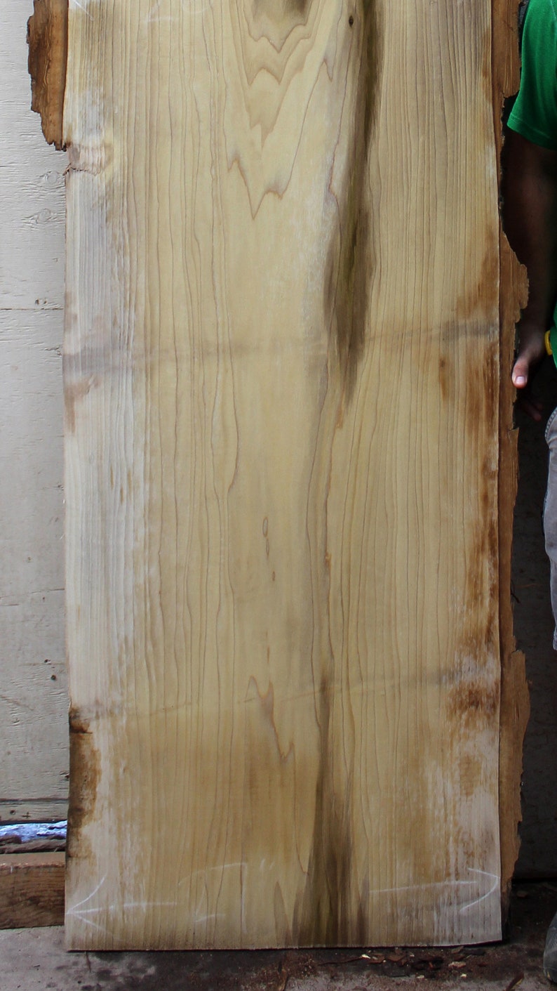 Natural Raw Wood Slab Poplar Tulip Custom Bar Top Wooden Furniture Rustic Countertop DIY Wide