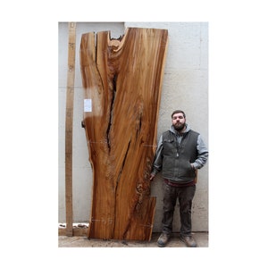 Live Edge DIning Tabletop Natural  Elm Raw Wood Slab  Bar Desktop DIY Wooden Vaniy Rustic  Custom Furniture 6220a6