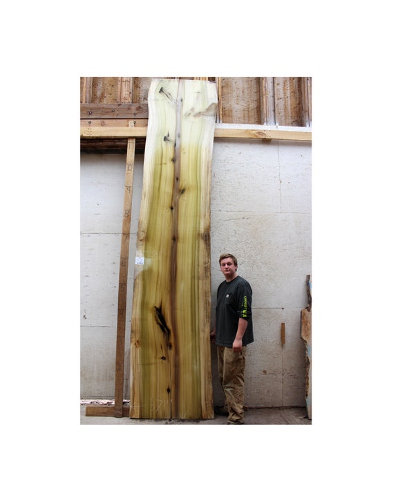 Live Edge Bartop Counter Natural Tulip Raw Wood Slab Poplar Etsy