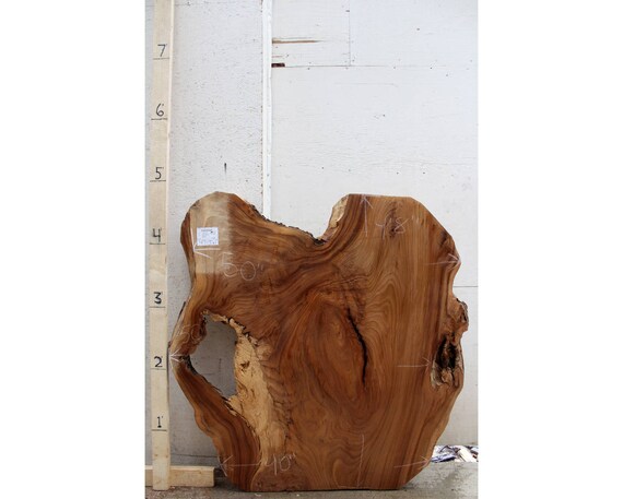 Wide Elm Raw Wood Slab Natural Live Edge Kiln Dried Lumber Etsy