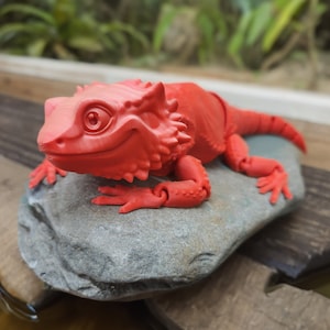 3D Printed Bearded Dragon Articulating Toy - Etsy