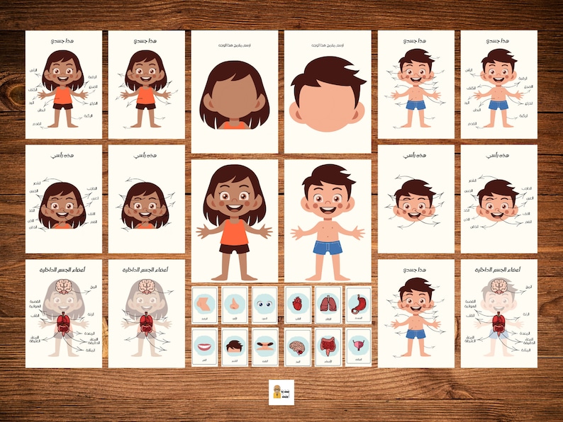 Arabic Human Anatomy for Kids Body Parts and Organs Etsy