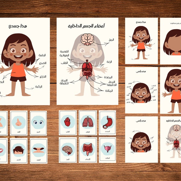 Arabic Human Anatomy for Kids, Body Parts and Organs
