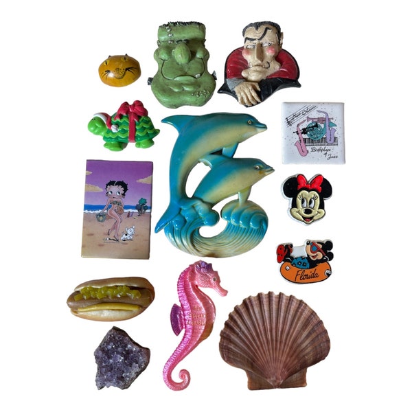 Awesome Vintage Magnet Lot Kitsch Dolphins Mickey Boop Glizzy Seahorse more