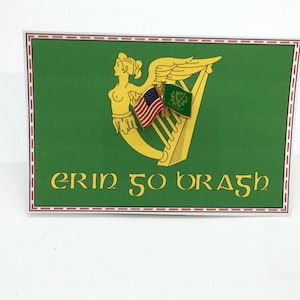 Erin-Go-Bragh Irish & USA Flag Pin / Tie Tack / Lapel Pin / Friendship Flag Pin