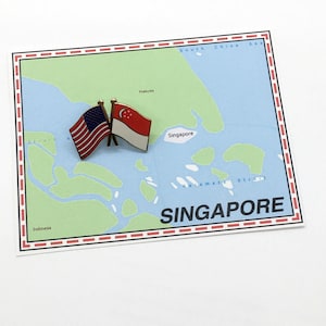 Singapore & USA Flag Pin / Tie Tack / Lapel Pin / Friendship Flag Pin