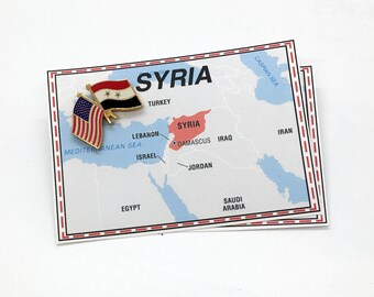 Syria & USA Friendship Flag Lapel Pin