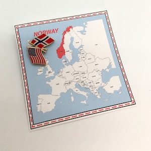 Norway & USA Flag Pin/ Tie Tack / Lapel Pin / Friendship Flag Pin