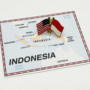 Indonesia & USA Flag Pin / Tie Tack / Lapel Pin / Friendship Flag Pin