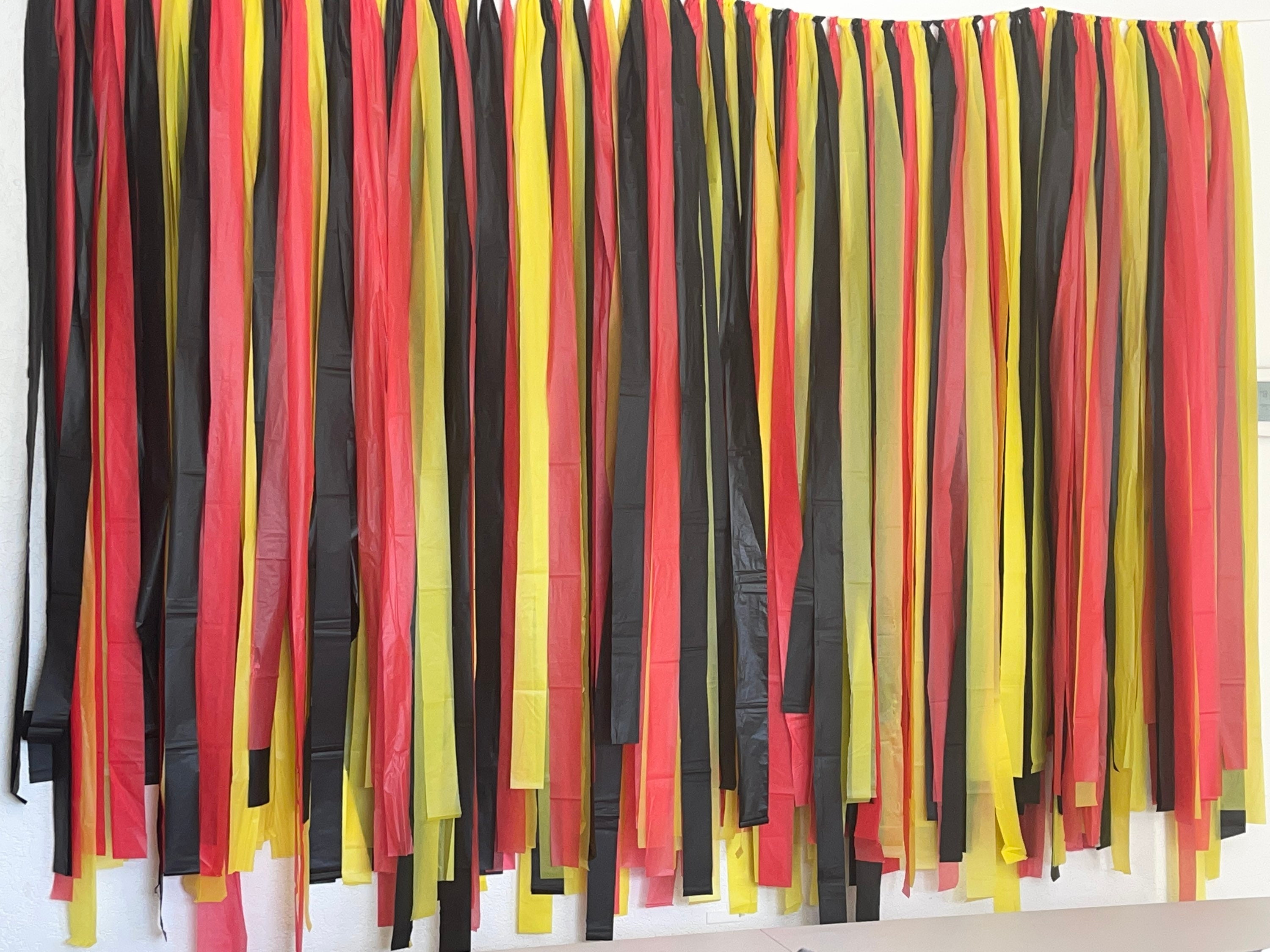 Custom Fringe Streamer Back Drop Party Banner Etsy