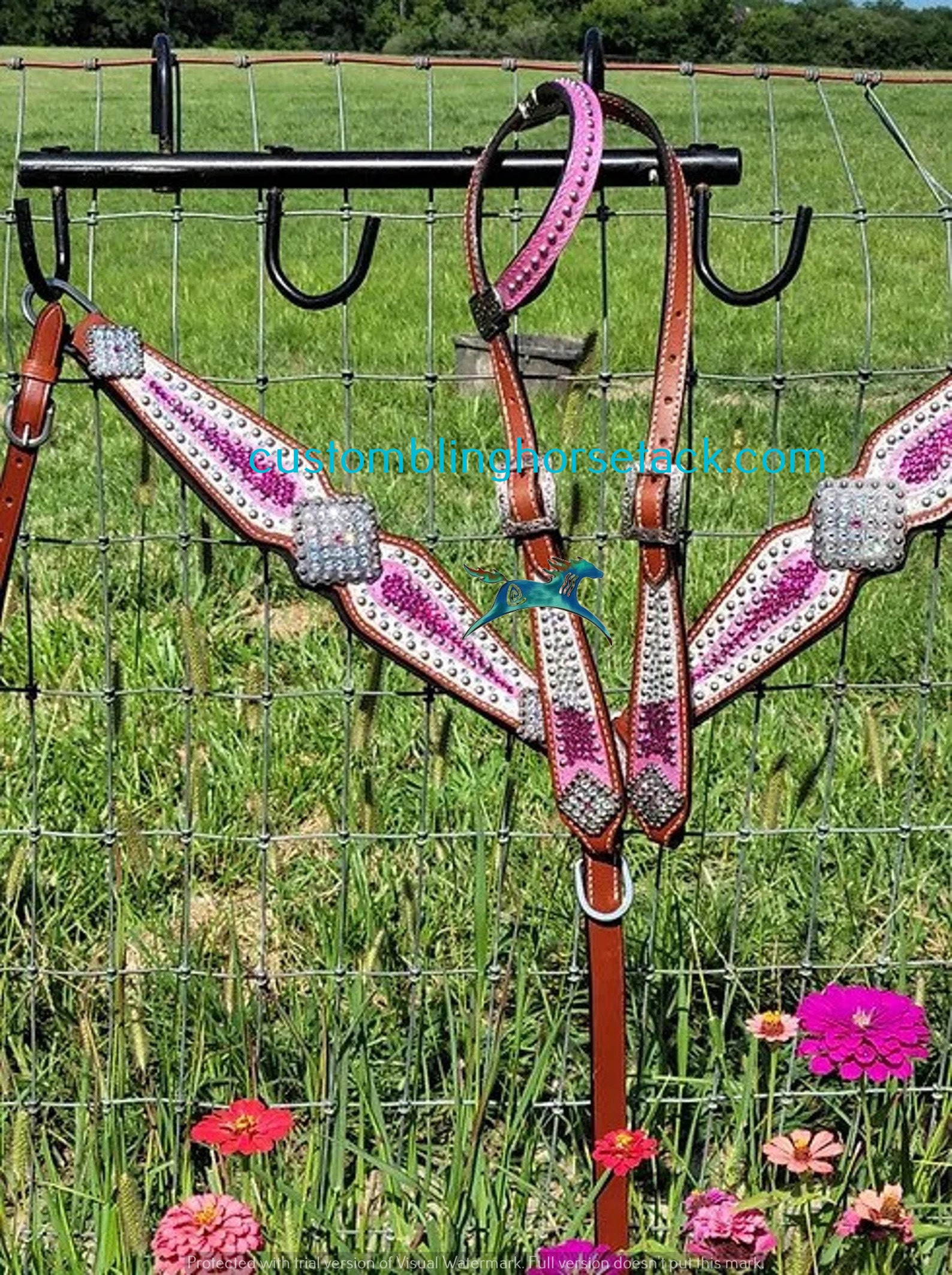 Decorative Riding Tack Pink Western Horse Tack Set - Dark Brown Leather ...