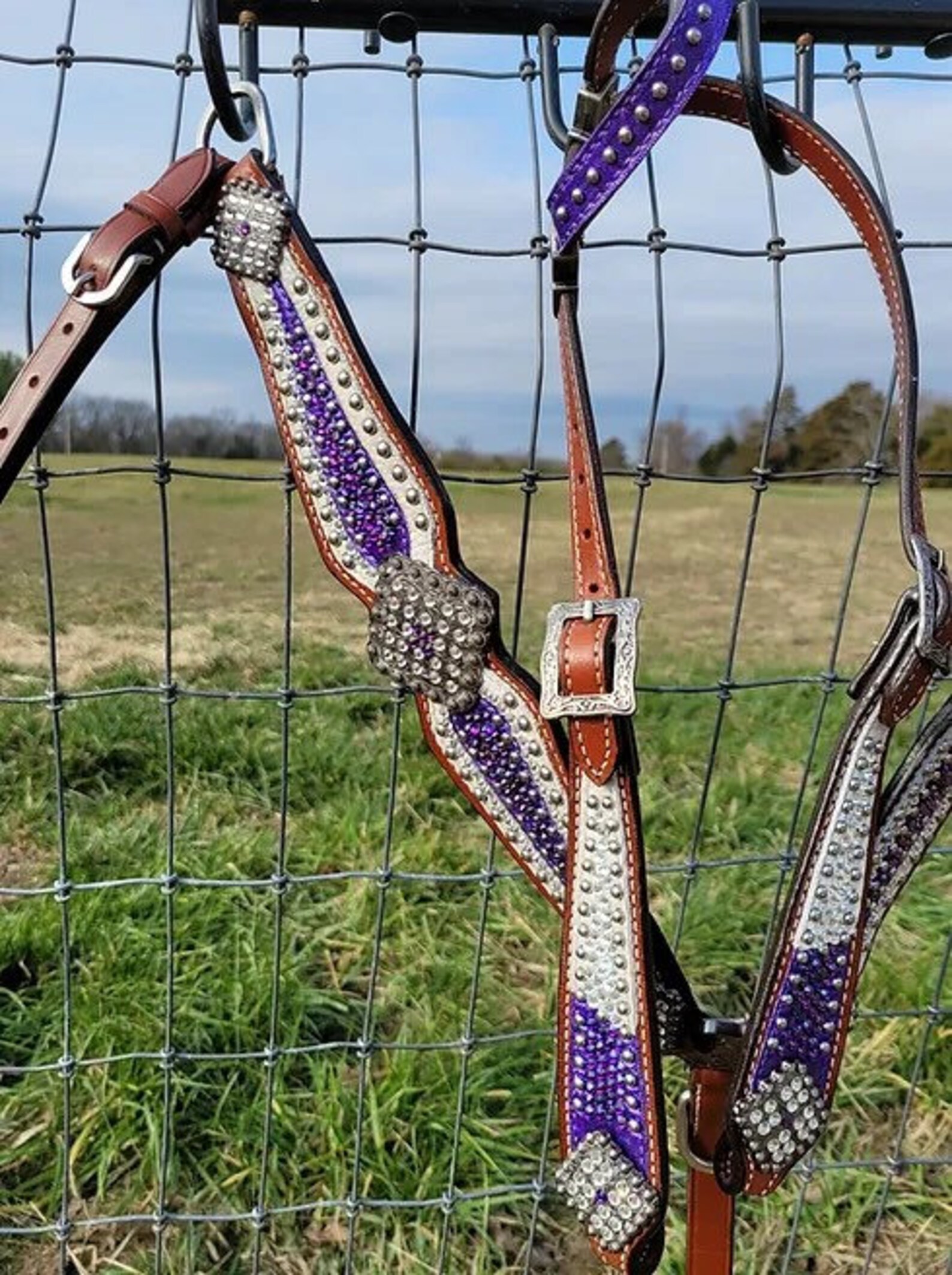 Purple & Clear Crystal Bridle Breast Collar Set Western Etsy