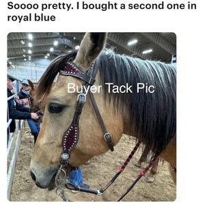 May include: A brown leather horse bridle featuring a browband and cheekpieces adorned with dark red crystal inlays and silver-toned metal studs. The bridle includes a metal bit and thin reins with pink accents, worn by a tan horse.