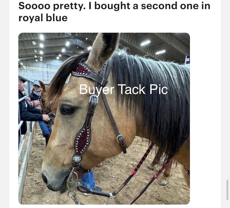 May include: A brown leather horse bridle featuring a browband and cheekpieces adorned with dark red crystal inlays and silver-toned metal studs. The bridle includes a metal bit and thin reins with pink accents, worn by a tan horse.