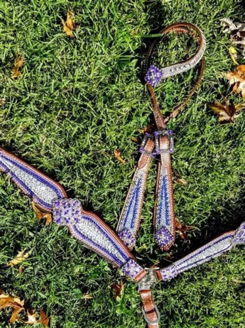 Clear & Purple Crystal Bridle Breast Collar Set Western Etsy
