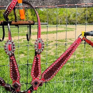 Rubinrotes Kristall Trensen Halsband Set. Westernpferdeshow