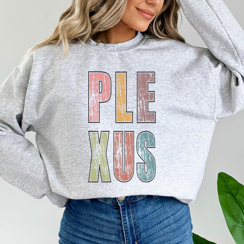 K&ouml;nnte beinhalten: Ein graues Sweatshirt mit dem Wort "PLEXUS" in bunten, abgenutzten Buchstaben gedruckt. Die Buchstaben sind in einer Schriftart im Retro-Stil.