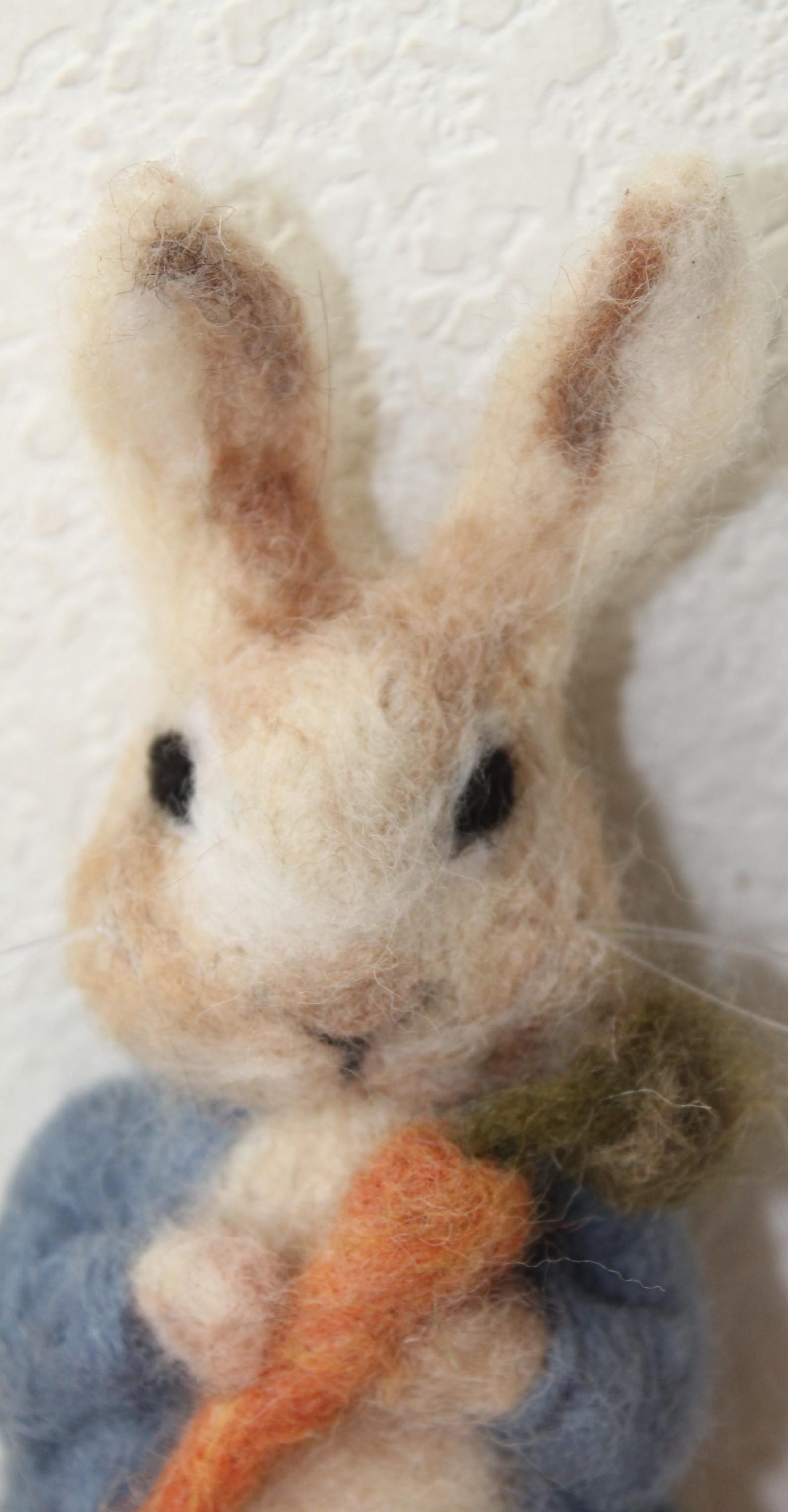 Needlefilter Peter Rabbit Needle Felted Peter Rabbit, Beatrix Potter Collectible, Baby Shower ...