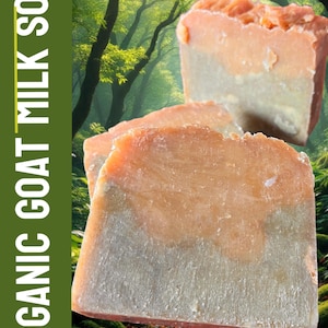 Puede incluir: Barras de jabón de leche de cabra orgánica con una combinación de colores de dos tonos. La parte superior es de color melocotón claro y la inferior es de color blanco cremoso. El texto "ORGANIC GOAT MILK SOAP" está impreso verticalmente en el lado izquierdo de la imagen.