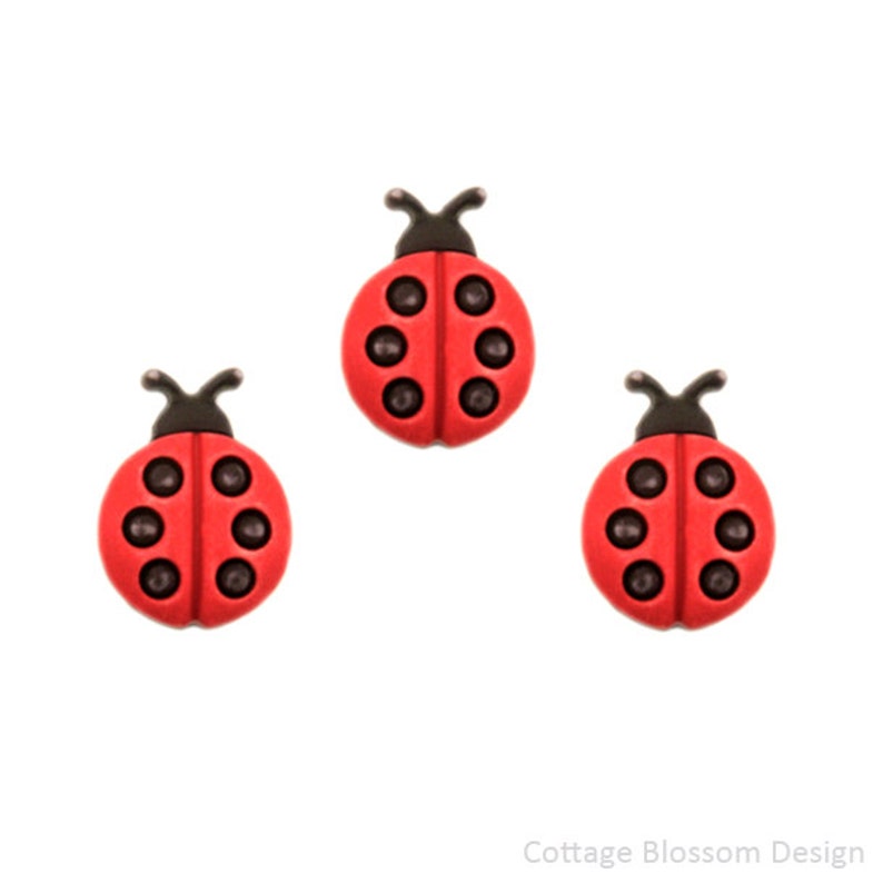 Download Cute Little LadyBug Buttons Red Black Spots Lady Bug ...