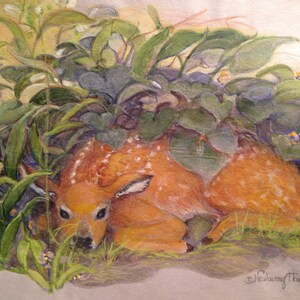 Dans Hostas 5 x 7 " notecard