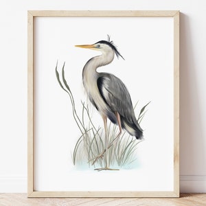 Heron Print, Coastal Bird Art, Great Blue Heron Print, Nautical Bird Print, Gift for Friend, Bird Boho Wall Art, Nautical Wall Decor