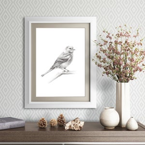 Bird Pencil Drawing Print Bird Gift Grey Bird Picture - Etsy