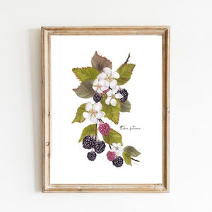 Blackberry Botanical Art Print: Rustic Cottagecore Wall Decor