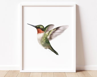 Hummingbird Art Print, Hummingbird Gift, Tropical Bird Wall Art, Simple Hummingbird Picture, Bird Lover Gift, Bird Illustration Print