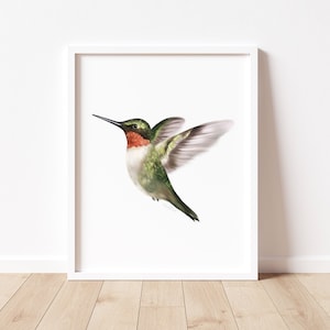 Hummingbird Art Print, Hummingbird Gift, Tropical Bird Wall Art, Simple Hummingbird Picture, Bird Lover Gift, Bird Illustration Print