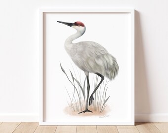 Kanadakranich Kunstdruck: Küstenwatvogel Illustration
