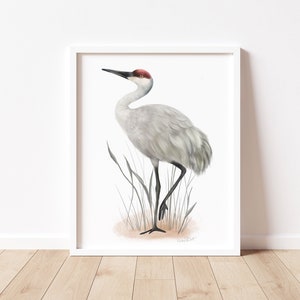 Sandhill Crane Art Print, Coastal Bird Print, Bird Art Gift, Bird Lovers Gift, Tall Wading Bird, Prairie Tall Bird Artwork, Bird Gift