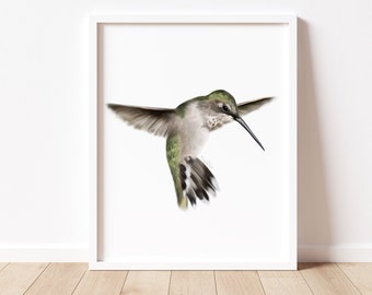 Hummingbird Wall Art Print, Female Hummingbird Picture, Flying Hummingbird Art, Tropical Bird Print, Birthday Gift for Her, Best Friend Gift