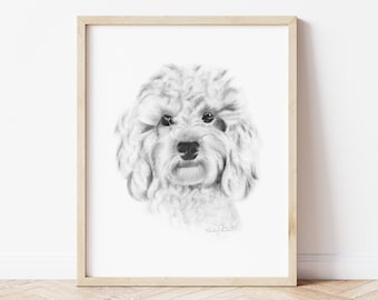 Brindle cavapoo sales