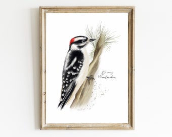 Woodpecker Bird Art Print, Downy Woodpecker, Backyard Birds Wall Art, Garden Birds Decor, Bird on Branch Picture, Bird Painting Gift,